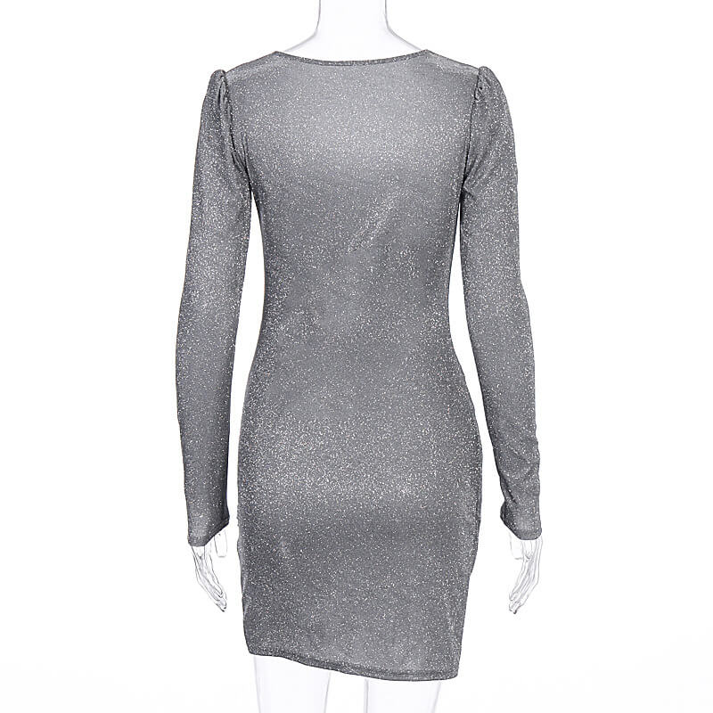 Bodycon Long Sleeve Sequin Party Dress